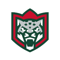 Ак Барс Ак Барс