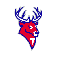 Торпедо Торпедо